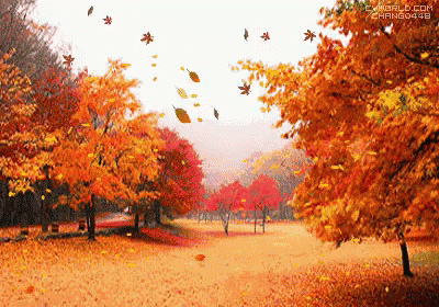 autumn