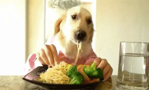 National Pasta Day