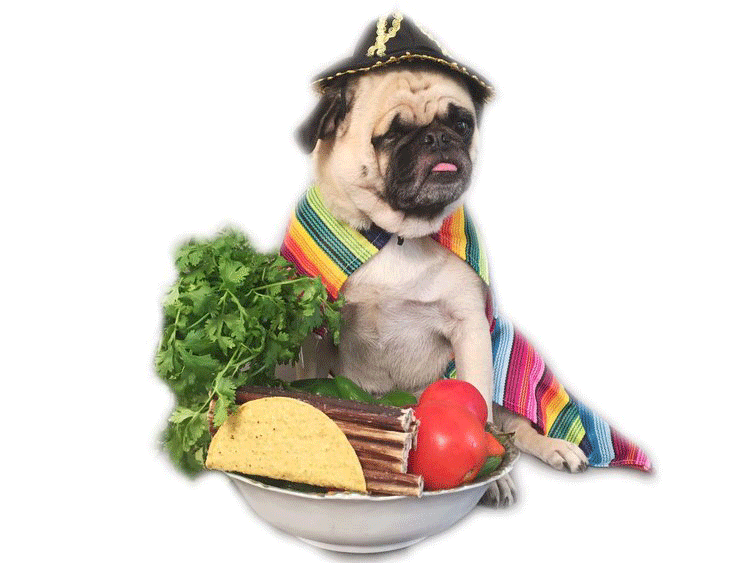 national taco day